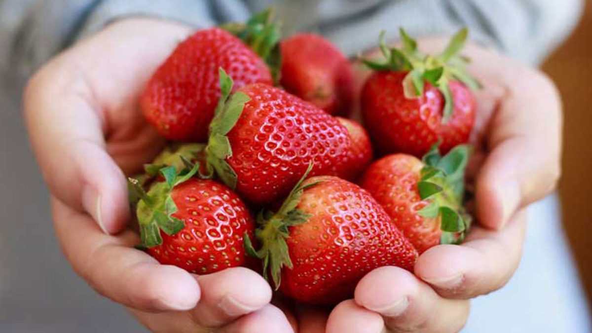 Strawberries: Benefits and Side Effects